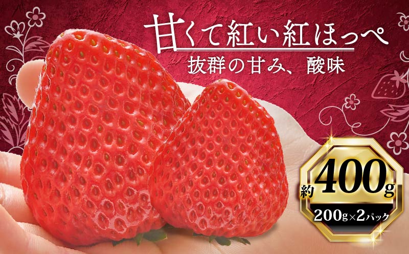 いちご 紅ほっぺ 計 400g 計 2 パック 高級 イチゴ 苺 セット べにほっぺ 2 パック 200g × 2 パック フルーツ 果物 ストロベリー 産地直送 国産 スイーツ デザート くだもの イチゴ 果物 贈答用 ギフト 畠農宝 静岡県 牧之原市