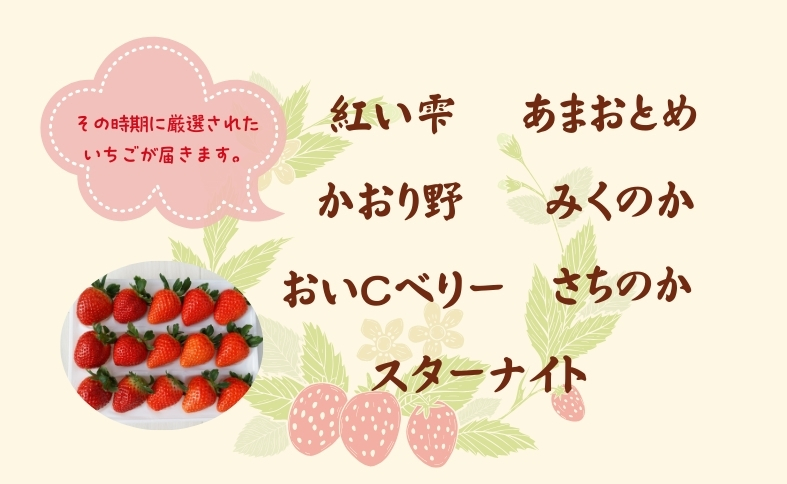 いちご 高級 ぜいたく いちご狩り気分 ランダム 4品種食べ比べセット あまおとめ 紅い雫 さちのか おいCベリー スターナイト かおり野 みくのか 数量限定 農園直送 ギフト 愛媛 人気 伊予市 く