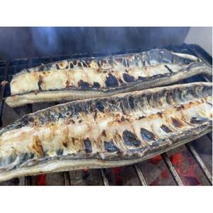 【国産うなぎ】大サイズ140g -170g　三河一色産　2尾セット　炭火白焼き【配送不可地域：離島】【1659391】