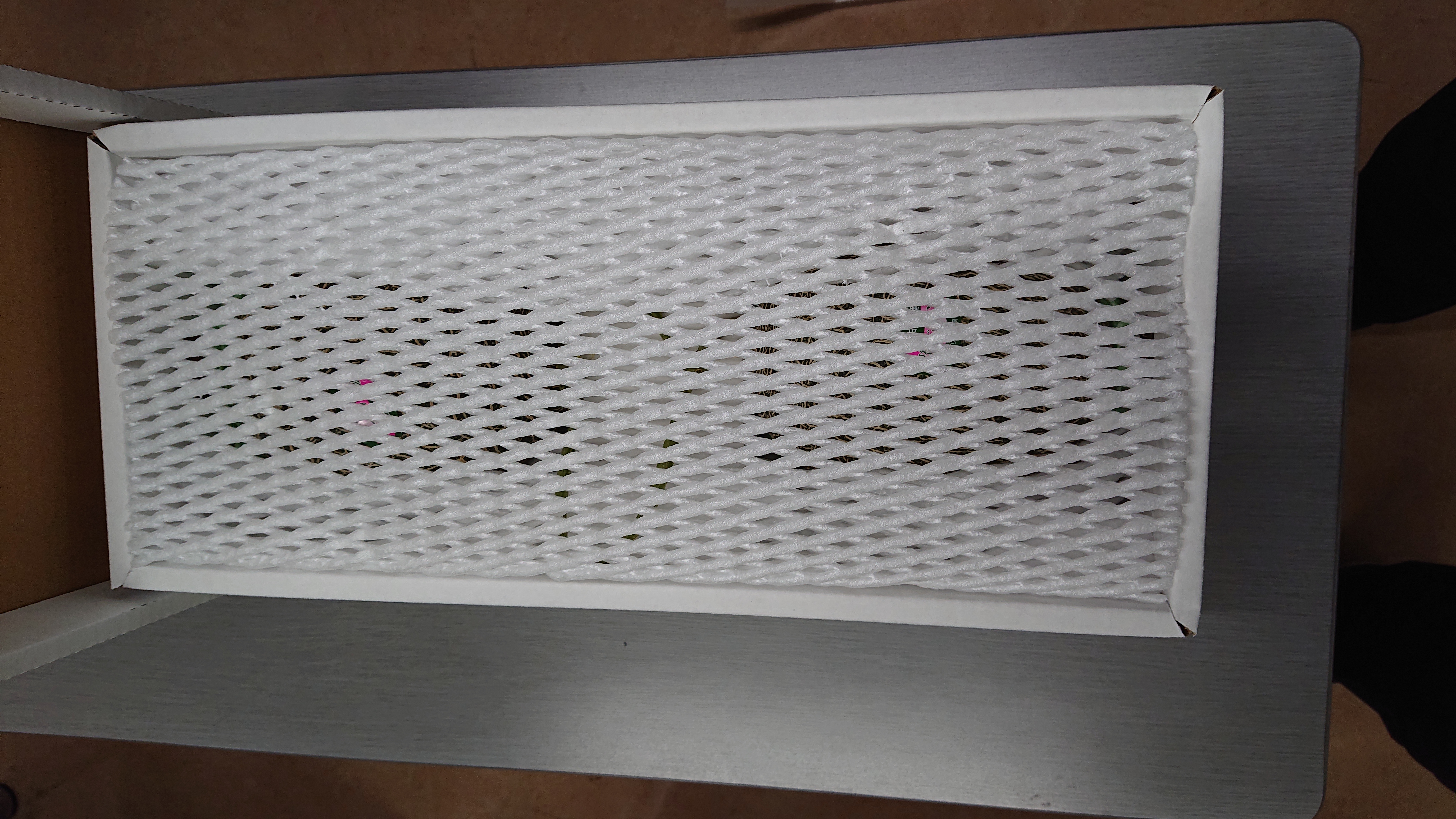 【先行予約】 宇城市産 肥後グリーン 2玉 フレッシュダイレクト【2026年5月中旬〜7月下旬頃順次発送予定】