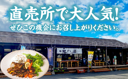 【カフェARIGATO監修】宮崎牛入り 高千穂ガパオライス ガパオライス 宮崎牛 ご飯 惣菜 加工品 冷凍 冷凍食品 温めるだけ レンジ  レンジ調理 レンチン 手軽 簡単調理 おすすめ お取り寄せ 
