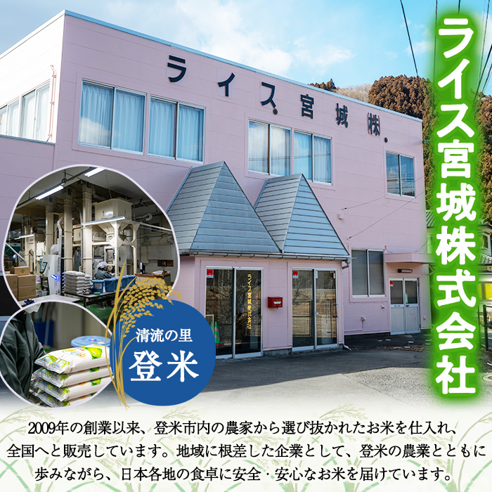 【令和6年度産】 ひとめぼれ 無洗米 10kg (5kg×2袋) 和紙袋仕様 お米 おこめ 米 コメ 白米 ご飯 ごはん おにぎり お弁当 【ライス宮城株式会社】tm298
