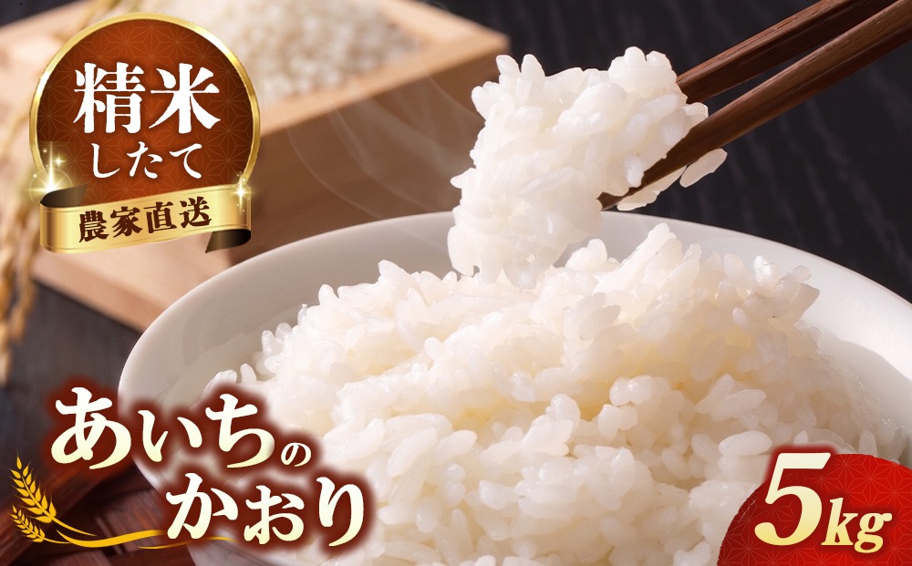 【先行予約】新米 令和8年産 あいちのかおり 5kg ※2026年10月～発送