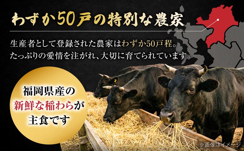 博多和牛 牛肉 サイコロステーキ 500g《豊前市》【肉のくまもと屋】 [VFD022]