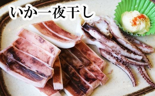 B-32043 いか一夜干し1枚×10P