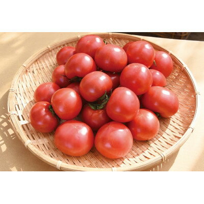 【ふるさと納税】栗田温室農園の王様トマト(4kg箱)農林水産大臣賞受賞!【1343319】