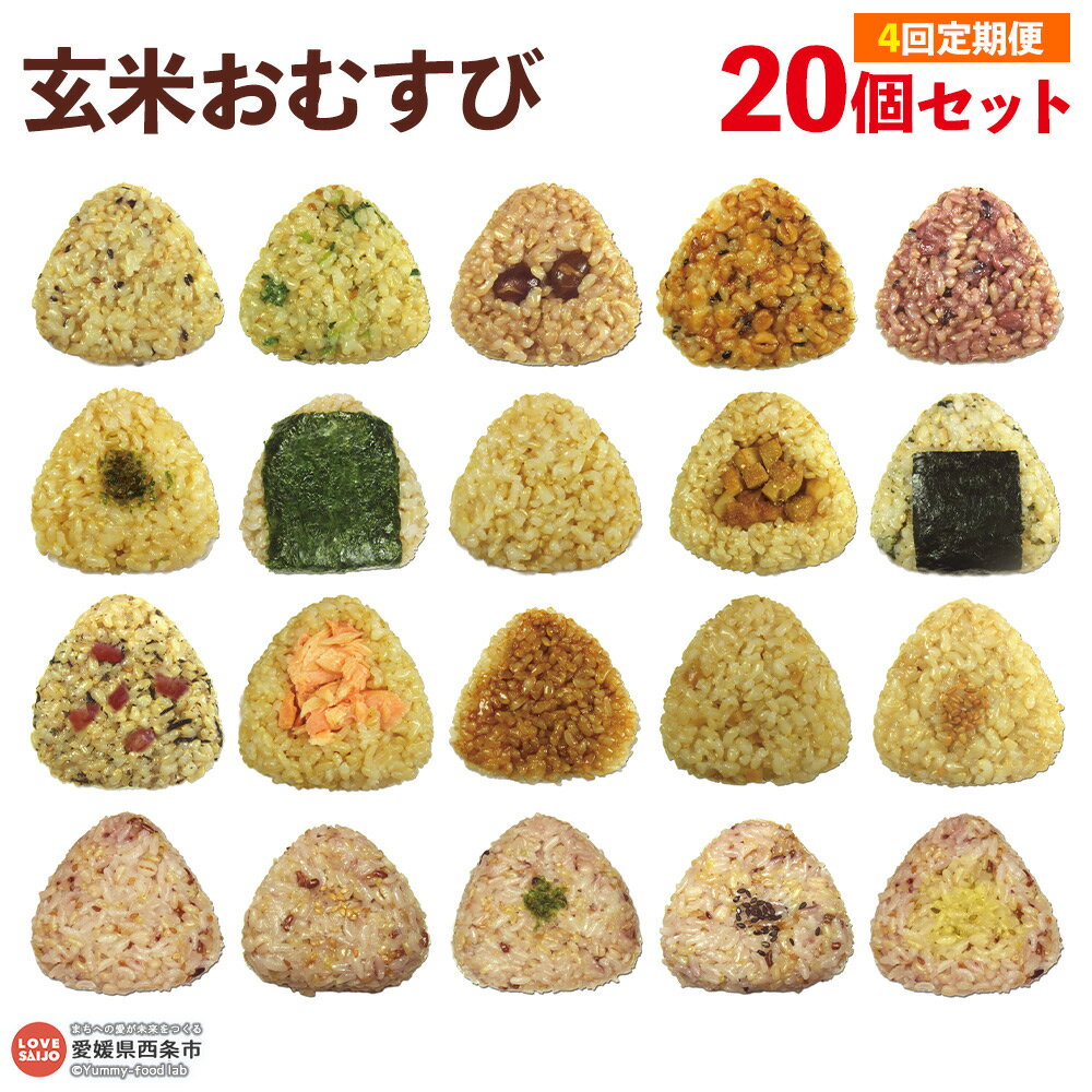 【ふるさと納税】＜玄米 おむすび 定期便 20個×4回＞ - おにぎり 冷凍 鶏 チーズ 鮭 カレー 玄米おむすび玄むす屋 かんこめ 愛媛県 西条市 『入金確認後、翌月末までに第1回目を出荷』