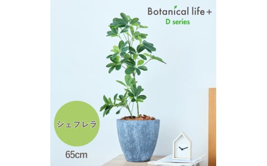 フェイクグリーン Botanical life+ Dシリーズ シェフレラ 65cm 光触媒加工 鉢付き インテリア 抗菌 消臭 愛知県 豊橋市 送料無料 41000円