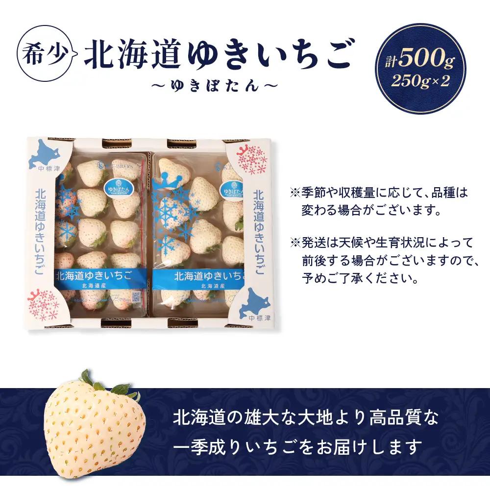 【2027年１月以降発送！】【北海道産】ゆきいちご（白いちご） 2Pセット 250g×2 計500g 苺 イチゴ 白いちご 一季成りイチゴ ゆきぼたん パールホワイト 希少 高級 ギフト お取り寄せ 