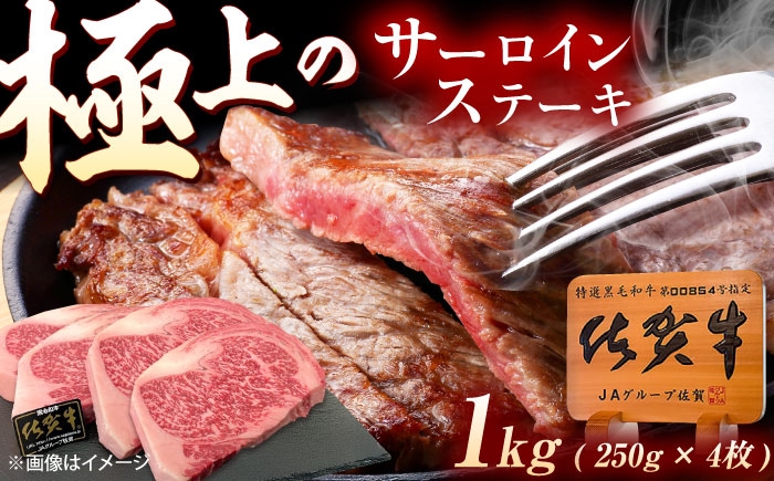 
            佐賀牛 サーロインステーキ 1kg（250g×4枚） [UEM061]
          
