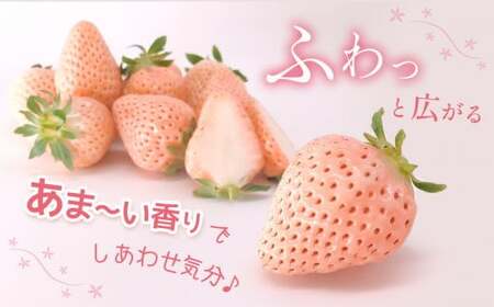 白いちご 淡雪 約1000g｜西谷農園