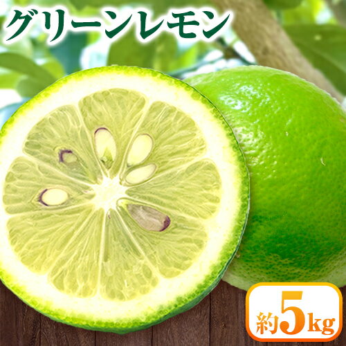 【ふるさと納税】グリーンレモン 約5kg ときわオンライン《2025年10月上旬-2月末頃出荷》 柑橘 和歌山県 紀の川市 フルーツ 果物 レモン グリーンレモン 檸檬 送料無料