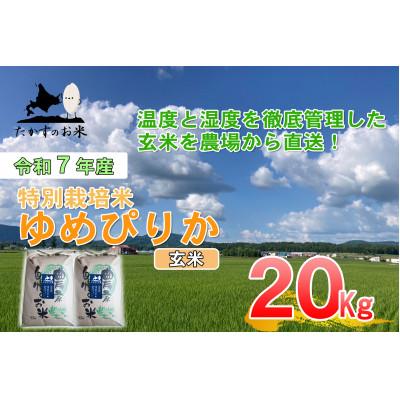 ふるさと納税 鷹栖町 令和7年産予約 たかすのお米 特別栽培米 ゆめぴりか 玄米 20kg(10kg×2)