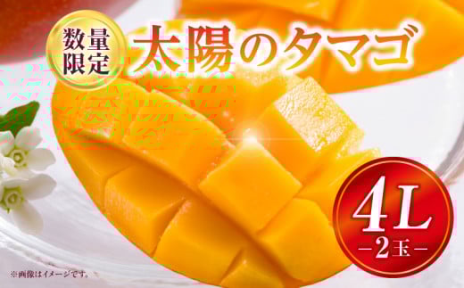 《2025年発送》【期間・数量限定】太陽のタマゴ 4Lサイズ 2玉_M354-001-03