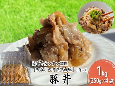 豚丼 長谷川の自然熟成豚 レトルト 簡単調理 豚丼【1kg 250g×4袋】