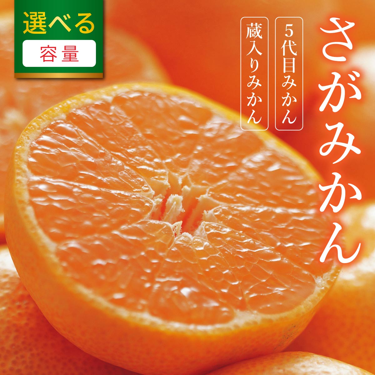 【ふるさと納税】【期間限定】 ＜選べる種類と内容量＞さがみかん （5代目みかん or 蔵入りみかん) (4.5kg or 9.5kg）【温州みかん 甘い 濃厚 ジューシー コク 完熟 熟成みかん 蔵出し 蔵入り 柑橘 密柑 ギフト 果物 フルーツ 佐賀県産 佐賀県 大和 太良 石橋果樹園 人気】