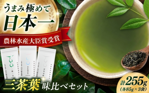三茶葉味くらべセット 計3袋 / お茶 日本茶 嬉野茶 緑茶 / 佐賀県 / 白川製茶園 [41AIAB003]