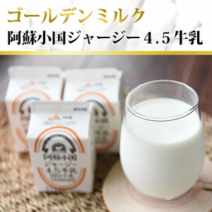 【6回定期便】馬肉ハンバーグ 熊本と畜 馬肉100％ 馬ミンチ ヘルシーミート 高タンパク 低カロリー 150g 12個 計1800g 1.8kg 小分け 個包装 焼くだけ おかず 簡単 阿蘇小国ジャ