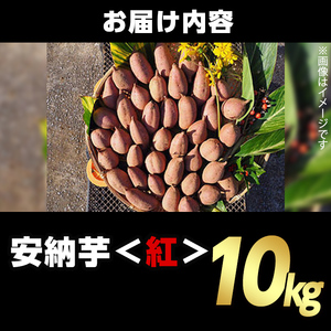 n082 <期間・数量限定セット!先行予約受付中!2025年10月中旬頃から12月中の発送予定>種子島産 安納芋<紅>(10kg)&安納芋チップス1袋セット 国産 安納芋 紅 種子島 芋 イモ いも