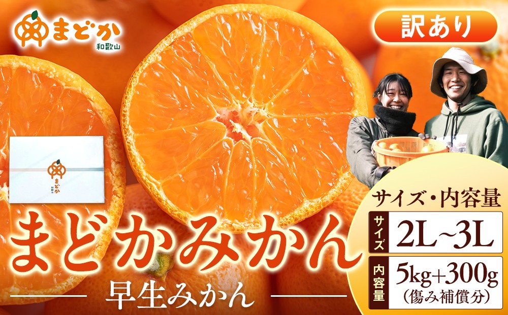 
                  ［先行予約］［訳あり］秋採れみかん（早生みかん）2L〜3Lサイズ混合 5kg＋300g（傷み補償分）［2025年11月上旬より発送］
                