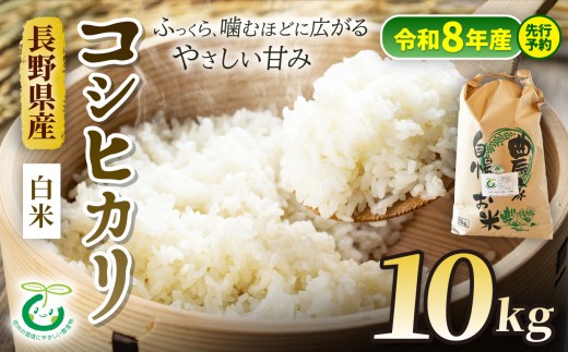 【令和8年産先行予約】 コシヒカリ 約10kg 白米 信州 安曇野 松川村産 特別栽培米 | そば処こうや 米 こめ コメ お米 白米 特別栽培米 コシヒカリ こしひかり ライス 長野県 松川村 信州