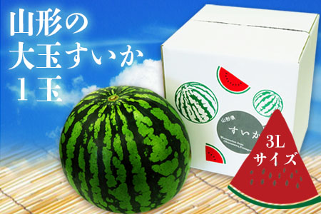 【2026年発送】山形の大玉すいか（品種おまかせ）約8kg×１玉_H113(R8)