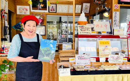 030-1092 豊後大野市産 の さつまいも 芋羊羹 2個セット