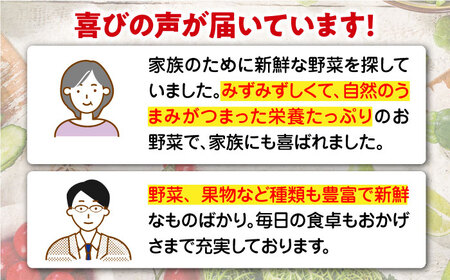【全12回】 野菜×果物 定期便（11〜14種）果物 フルーツ[AGBX008]