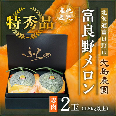 【ふるさと納税】【2027年発送】【特秀】富良野メロン　赤肉2玉　北海道富良野市『大島農園』【7月より順次発送】_ メロン めろん ふらのメロン 赤肉 赤肉メロン 北海道 富良野市 富良野 ギフト お中元 プレゼント ふるさと 【1375277】