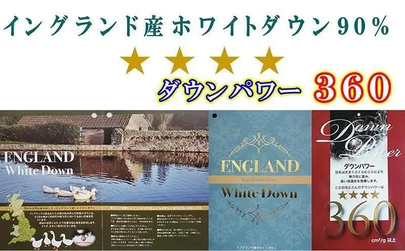 【羽毛布団】掛け布団 シングル イングランド産ホワイトダウン90％ ダウンパワー360【BE008】