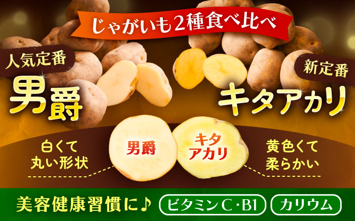 北海道産 じゃがいも 2種食べ比べセット 各5kg（男爵＆キタアカリ）《足寄町》【党崎農場】[BEAA005]