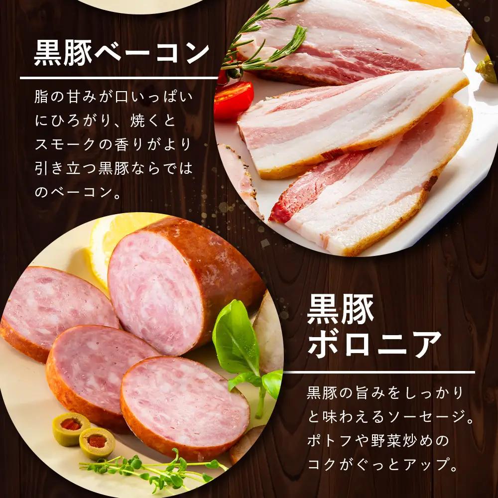 鹿児島県産 黒豚バラエティセットA 約600g (黒豚焼豚200g×1・黒豚ベーコン150g×1・黒豚ボロニア250g×1) NS-510 ｜ 肉 お肉 豚肉 豚 にく ぶた かごしま黒豚 ベーコン 