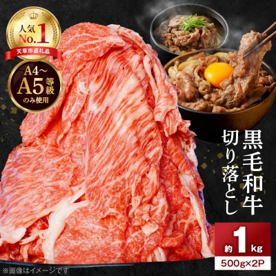 黒毛和牛 切り落とし 1kg A4～A5ランク