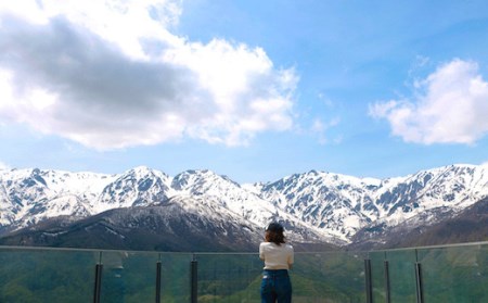 白馬岩岳マウンテンリゾート ゴンドラリフト往復乗車券 大人2名ペアチケット/長野県白馬村　マウンテンリゾート　アクティビティ　アウトドア　ブランコ　マウンテンハーバー　絶景の北アルプス　犬連れ【L02