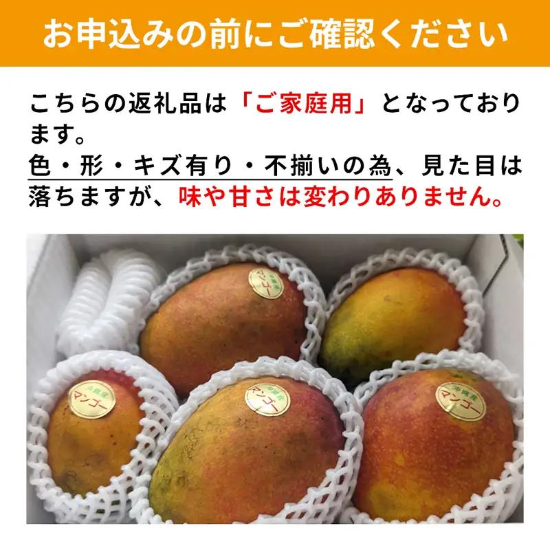 【特別提供中】【2026年発送】ミナミマンゴーハウスの訳あり 赤金煌(レッドキンコウ）マンゴー 約2kg - 先行受付 先行予約 沖縄県産 産地直送