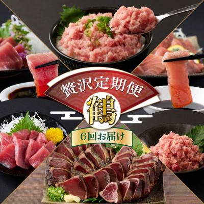 ふるさと納税 室戸市 【贅沢定期便「鶴」/全6回】タカシン水産厳選 高知の海鮮セット