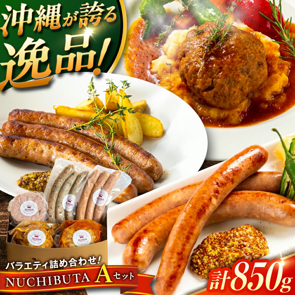 【ふるさと納税】 『NUCHIBUTA Aセット』 豚肉 ハンバーグ ソーセージ 詰め合わせ お取り寄せ 国産 冷凍 沖縄市 / DELICATESSEN NUCHIBUTA [BCAR003] 詰め合わせ 手作り