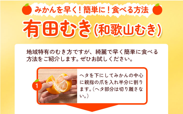 迫力満点！大粒 有田みかん 2L-4Lサイズ 約2kg 有田マルシェ《11月上旬-1月上旬頃出荷》和歌山県 日高町 みかん 大粒 有田みかん 温州みかん 柑橘 フルーツ ミカン 蜜柑