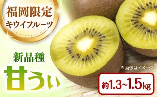 福岡限定品種 キウイ「甘うぃ」約1.3kg～約1.5kg／2026年11月頃より発送予定   ▼キウイ  キウイフルーツ  フルーツ くだもの 果実 先行予約 先行受付  桂川町/一般社団法人地域商社ふるさぽ[ADCF013]