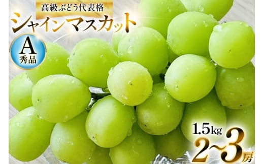 【期間限定発送】 シャインマスカット Aランク 2〜3房 1.5kg [安達長作 山形県 高畠町 tk06ays990000] 箱詰め フルーツ 果物 くだもの ぶどう ブドウ 葡萄 1.5キロ 甘い
