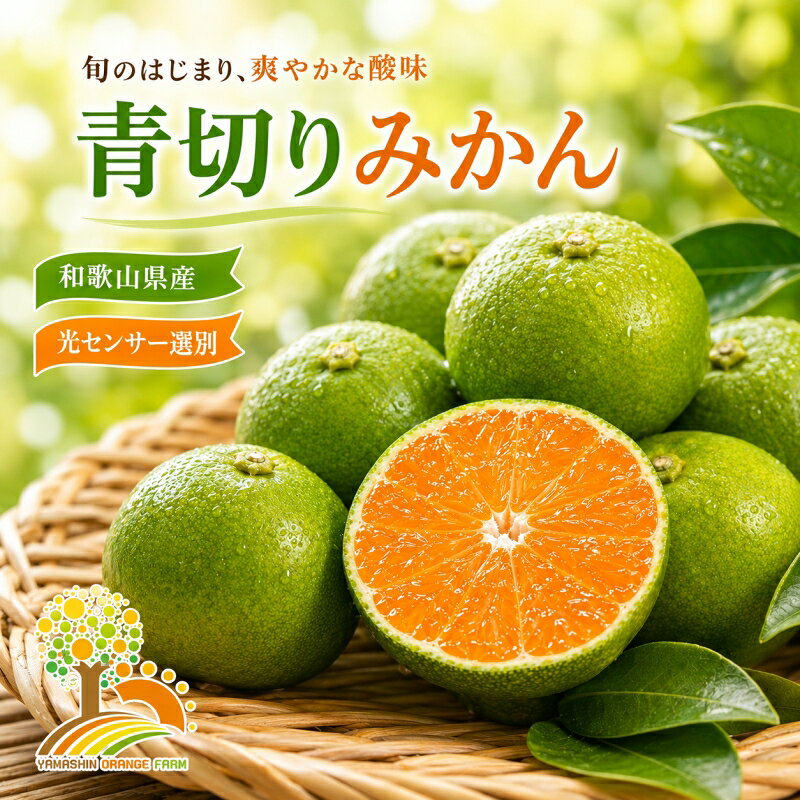 【ふるさと納税】 青切りみかん 極早生 和歌山県産 光センサー選別 5kg 10kg ※2026年9月下旬～10月順次発送予定 ※北海道・沖縄・離島への配送不可 //goku