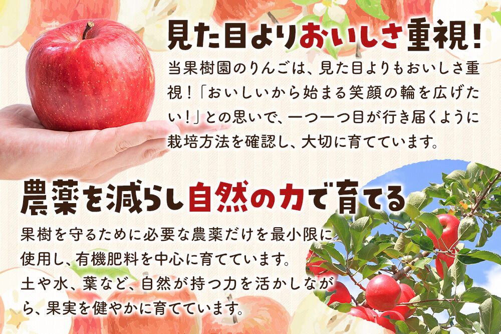 【26年11月下旬～発送】りんご サンふじ 約5kg【家庭用】林檎 リンゴ 果物 くだもの フルーツ 青森 [アップル おいしい 果実 果物 赤色 美味]