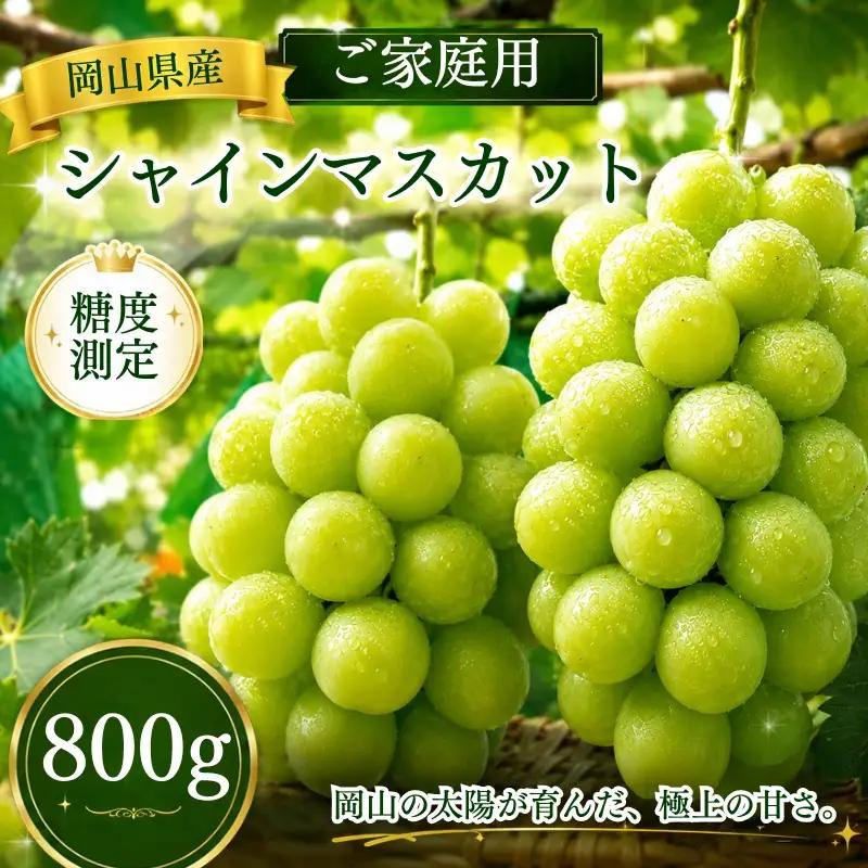 岡山県産シャインマスカット ご家庭用 パック 400g×2房 【2026年先行予約】 糖度測定 / ぶどう 岡山 真庭市 シャインマスカット 果物 贈答 人気 産地直送 国産 数量限定【bfyd004】 
