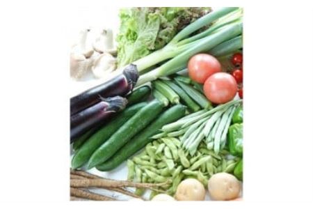 しまなみ彩野菜セット(今治産野菜の詰合せ)×12回 [VF00080]