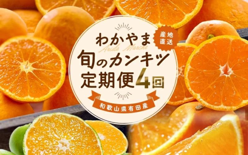 
            【全4回】和歌山旬のカンキツ定期便【S】3・5・9・11月発送（ご家庭用）※北海道・沖縄県・離島への配送不可 / 春の柑橘 初夏の柑橘 青切り 有田みかん 完熟有田みかん フルーツ くだもの 果物【ard-tkb905】
          