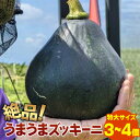 【ふるさと納税】希少！「絶品うまうまズッキーニ」特大サイズ3～4個 贈答用にも！農薬を使わず、特許製法のシリカ水で栽培する特別な野菜 11月～5月下旬順次発送｜沖縄 石垣島 希少 丸ズッキーニ だるまズッキーニ 産地直送 離島のいいもの 沖縄いいもの石垣島 OI-18