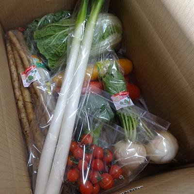 ふるさと納税 袖ケ浦市 ウィルスに負けない体を目指そう!袖ケ浦市産の新鮮野菜の詰め合わせ