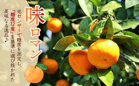 【糖度12度以上！】長崎県産 みかん 味ロマン 約10kg ＜期間限定／先行予約＞【2025年11月中旬以降順次発送】