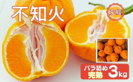 【2027年先行予約】みかん 不知火 3kg バラ詰め 愛媛 先行予約 【2027年4月上旬から順次発送】 数量限定 愛媛県産 人気 柑橘 伊予市｜B550
