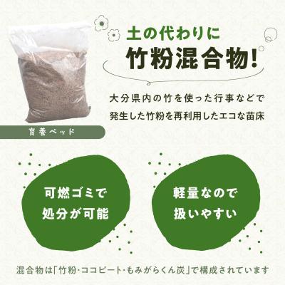 ふるさと納税 大分市 バンブーガーデンキット_R17024 |  | 02